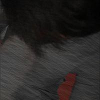 usmanremix07