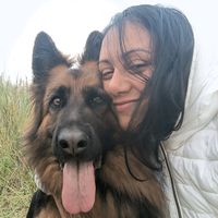 sansashepherd