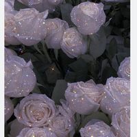 missflowers444