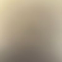 violetprice19