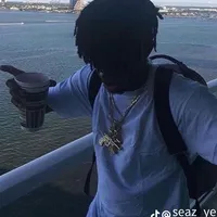 Sound image