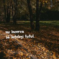 username06201215