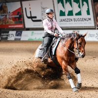 skyisnotthelimit_reining