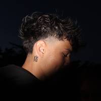 TikTok Account - https://p16-pu-no.tiktokcdn-eu.com/tos-no1a-avt-0068c001-no/266b84984ec7d2b6c1c59d0115f3c75b~tplv-tiktokx-cropcenter-q:200:200:q70.jpg