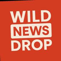 TikTok Account - https://p16-pu-no.tiktokcdn-eu.com/tos-no1a-avt-0068c001-no/26a4aa9ecb92800eb6641872e0c18a03~tplv-tiktokx-cropcenter-q:200:200:q70.jpg