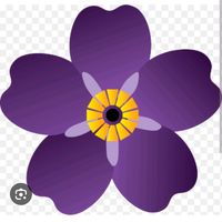 TikTok Account Photo