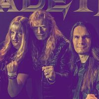 themetalenjoyer