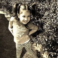 viki.bll2