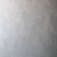 m.s.79._