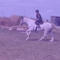 zrogersx