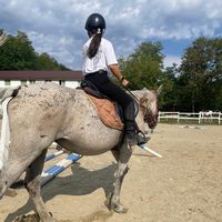 eq._amalia