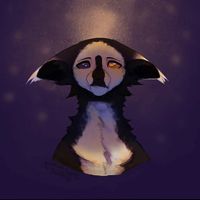 skulledcat