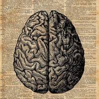 just_thatbrain_