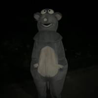 TikTok Account Photo