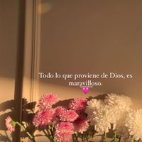 _usserr.033