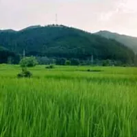 Sound image