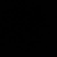 07black_h
