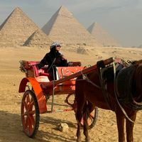 travel_with_chanez