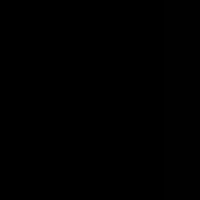 dhi.221