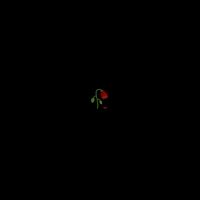 Sound image