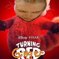 hiccup_hussein
