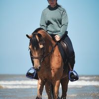 amaequi