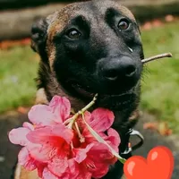 original sound - marco_casty_