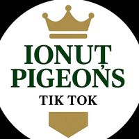 popescu_ionut_15
