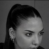 assenav_drk