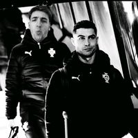 metzgeroli_