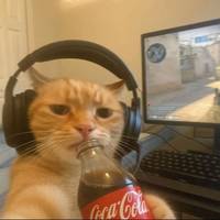 TikTok Account - https://p16-pu-no.tiktokcdn-eu.com/tos-no1a-avt-0068c001-no/3d84df2c895897a115d14c1499818b4d~tplv-tiktokx-cropcenter-q:200:200:q70.jpg