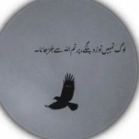 shuja033