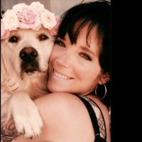 TikTok Account - https://p16-pu-no.tiktokcdn-eu.com/tos-no1a-avt-0068c001-no/3fd885b1a1ff9f001d4e79a93817f620~tplv-tiktokx-cropcenter:200:200.jpeg