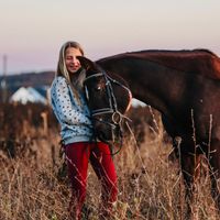 amalias_equestrian