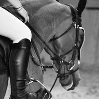 chiaraschmidt.rider