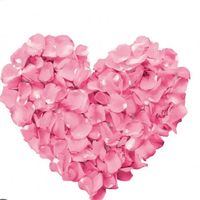 user022157005