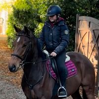 gracie_equine14
