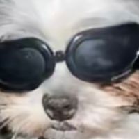 TikTok Account - https://p16-pu-no.tiktokcdn-eu.com/tos-no1a-avt-0068c001-no/4360ae032dd4ec20ce352749faa4cb0d~tplv-tiktokx-cropcenter:200:200.jpeg