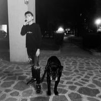 _diegosarcinelli_