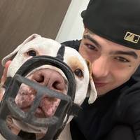 TikTok Account Photo