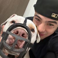 TikTok Account Photo