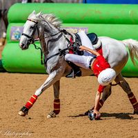 bb.horseball