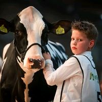 nickdejong2709
