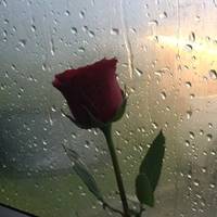 TikTok Account - https://p16-pu-no.tiktokcdn-eu.com/tos-no1a-avt-0068c001-no/461c70dbaae34216b5f46c2634d10cf3~tplv-tiktokx-cropcenter-q:200:200:q70.jpg