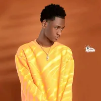 Sound image