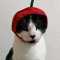strawr6ey_ie
