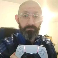 divingirondins
