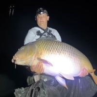 carp_wizardry_baits