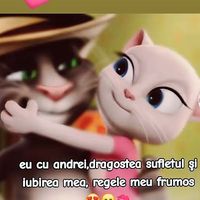 cont_cu_.de_toate._0