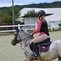 equi.sofuu